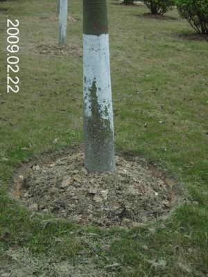 草地上的保养沟和保养圈