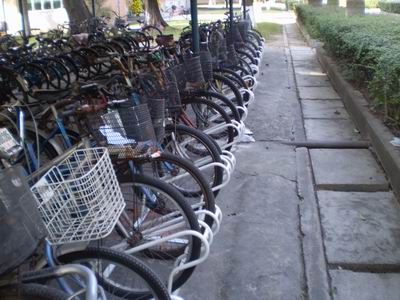 单车排队  方便你我