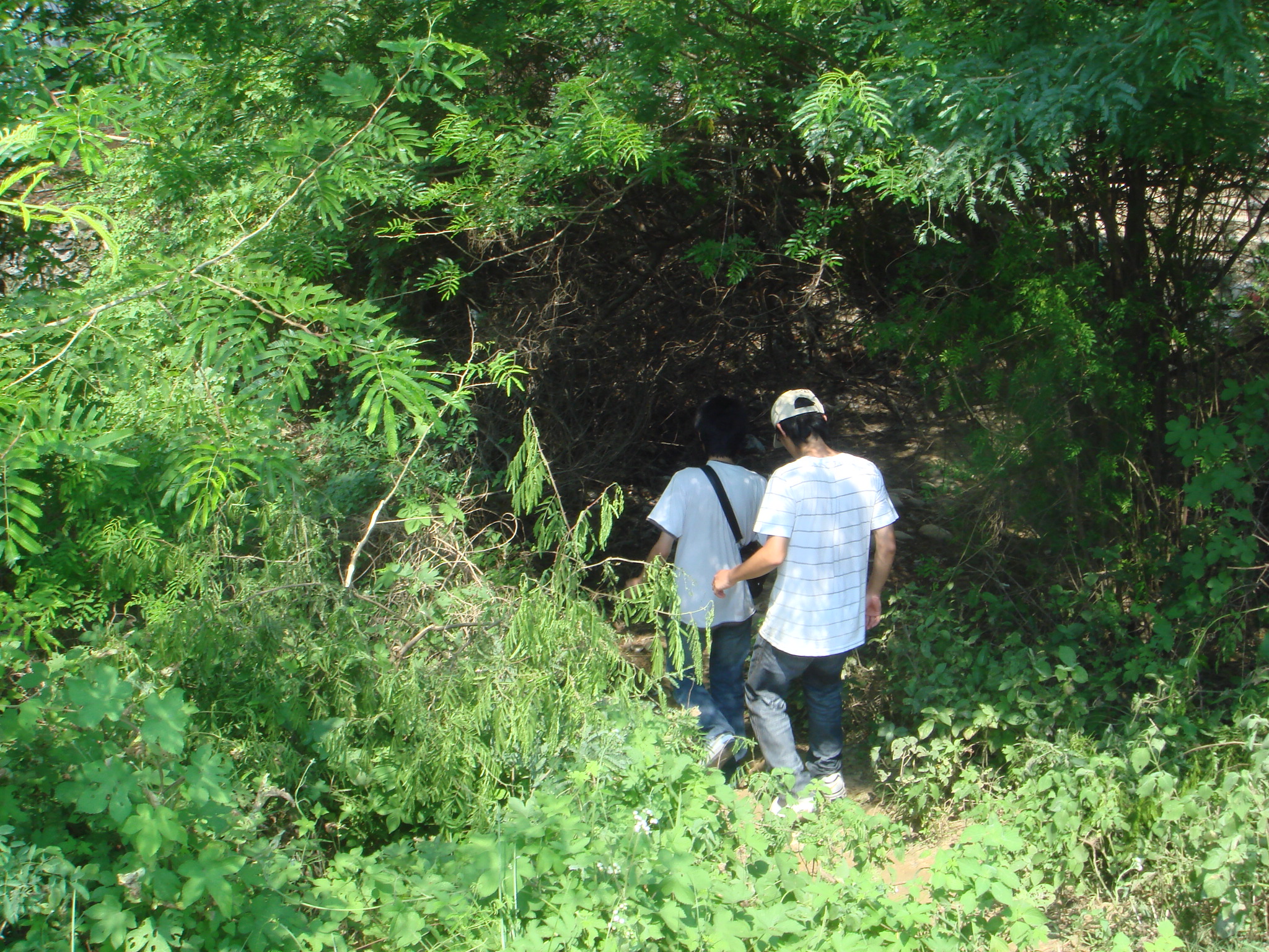 深入农村,倾听农民心声