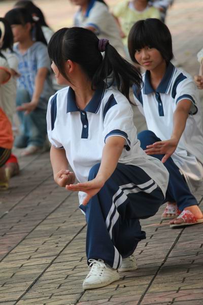 套路小节“歇步盖掌” 套路小节“歇步盖掌”