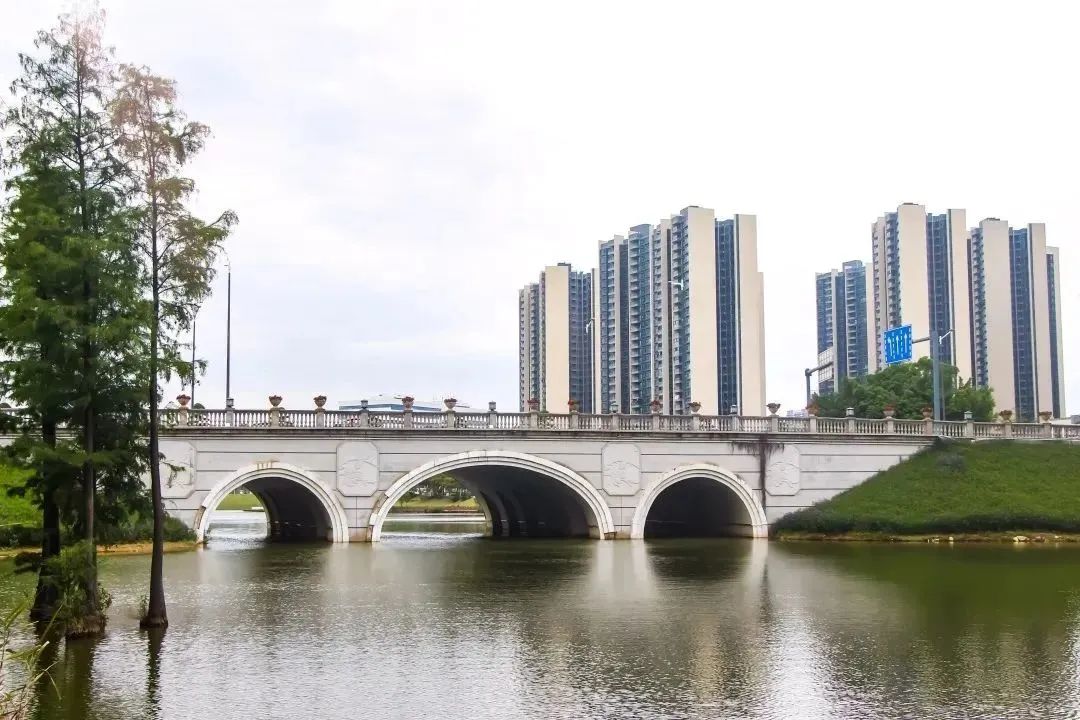 知识城校区3.jpg