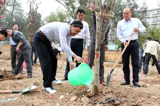 隋广军、卢景辉等领导参与植树活动