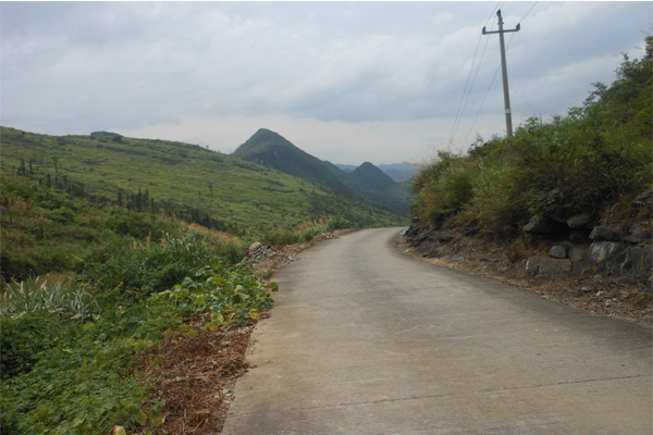 风景 风景