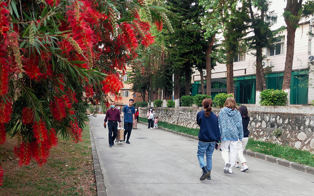 开学新~1.JPG