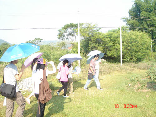 烈日当空,“蒲公英”出发