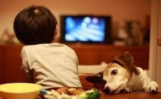 守候在电视机前小小的追剧者 守候在电视机前小小的追剧者