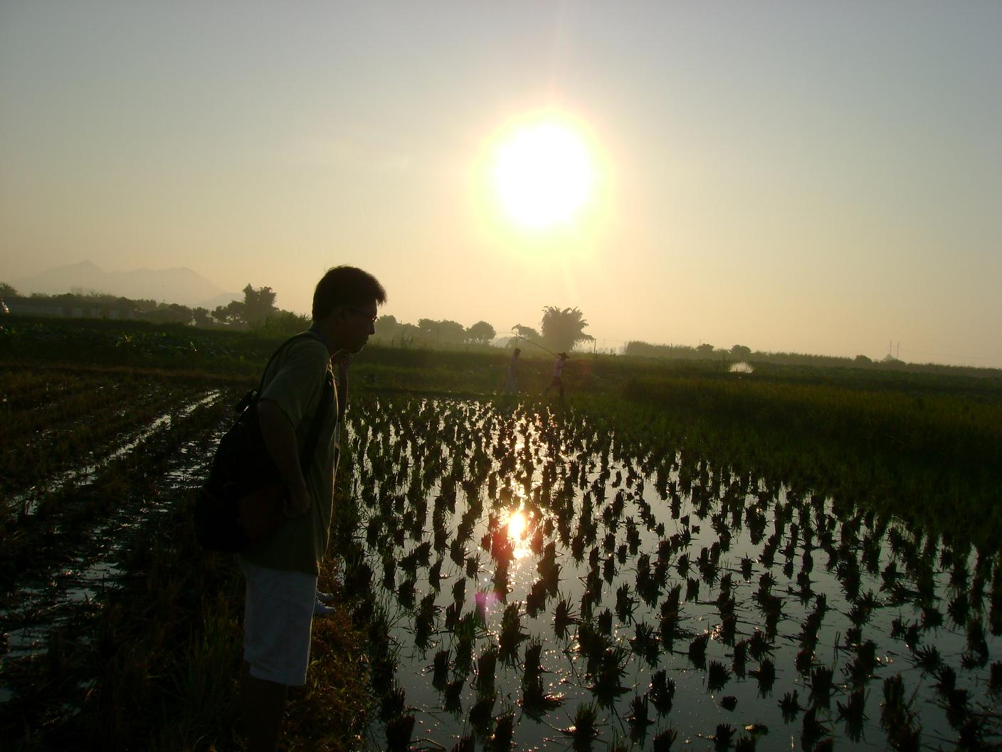 看早晨的阳光打在我们的脸上,他说,“我们也曾年轻。”