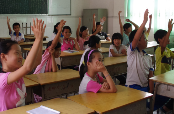 课堂上小手举成树林 课堂上小手举成树林