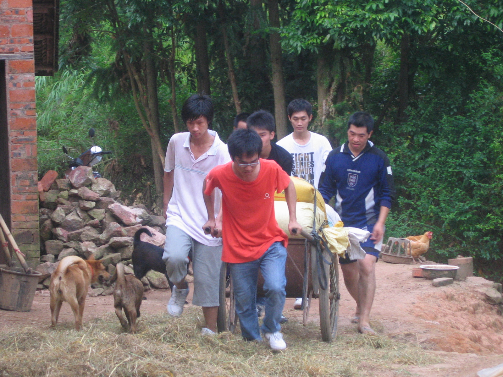 帮助农家做活,秉承
