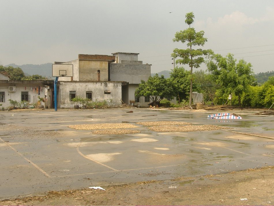 满地荒凉,希望,在何方?(第三段文字的图片)