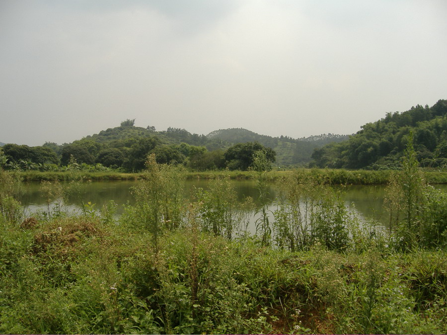现在的秀丽风光,未来的旅游世界!(第二段文字的图片)