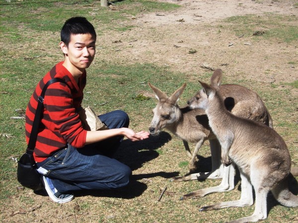 何可在澳洲 何可在澳洲