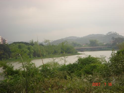 合江的美丽风光