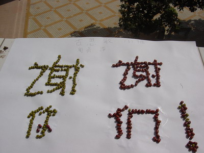 我们会永远记得你们的!