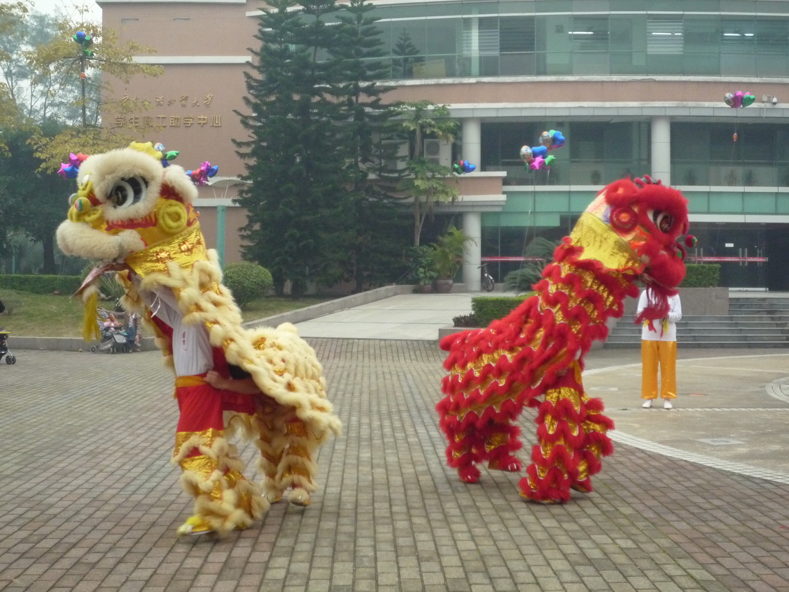 校醒狮队正在刻苦训练