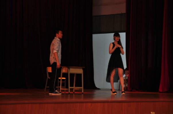 《一个歌手的一生》 《一个歌手的一生》