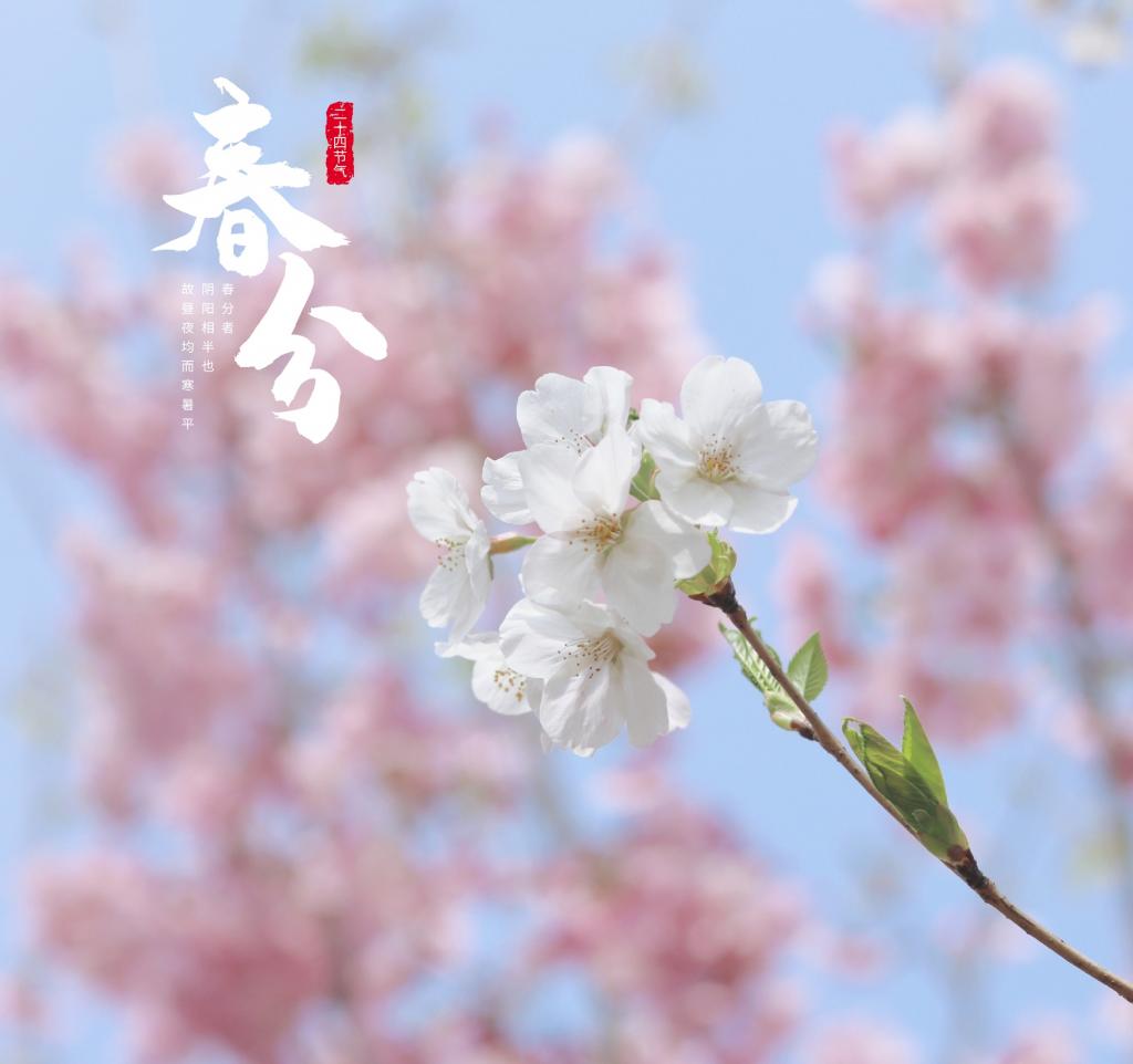 春分.jpg