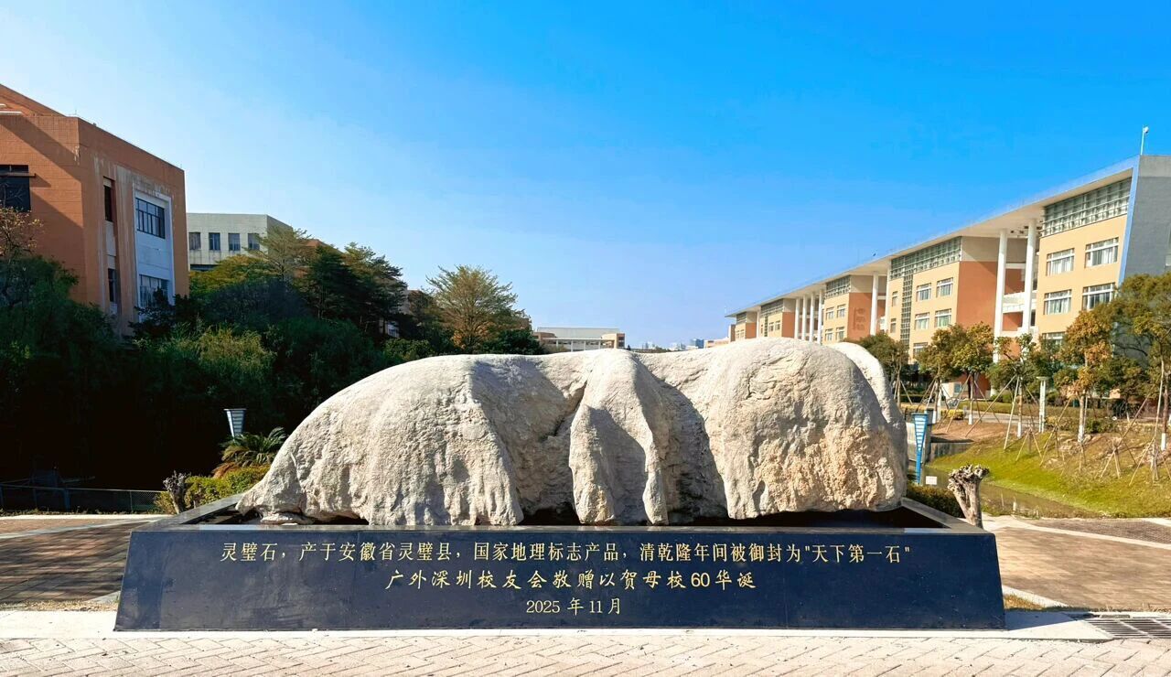 大学城校区灵璧石.jpg