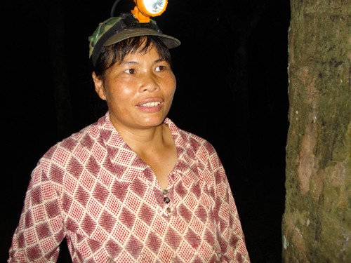 勤劳的割胶工人