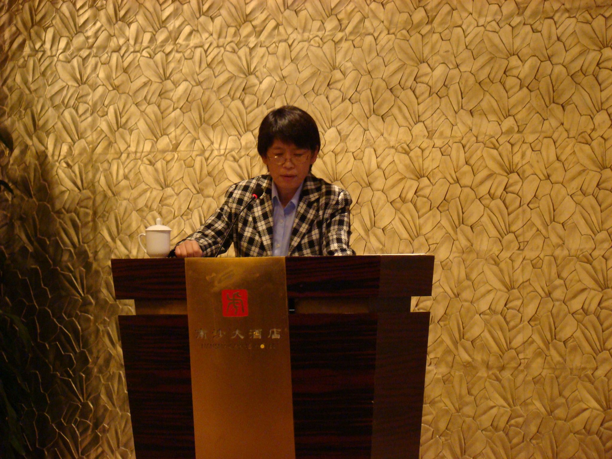 周弘教授精彩主题报告