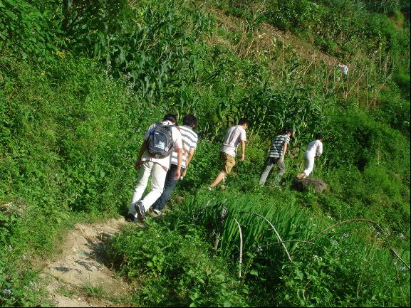 “锵锵”五人摘玉米