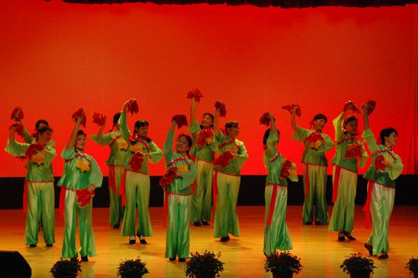 舞蹈表演《常回家看看》