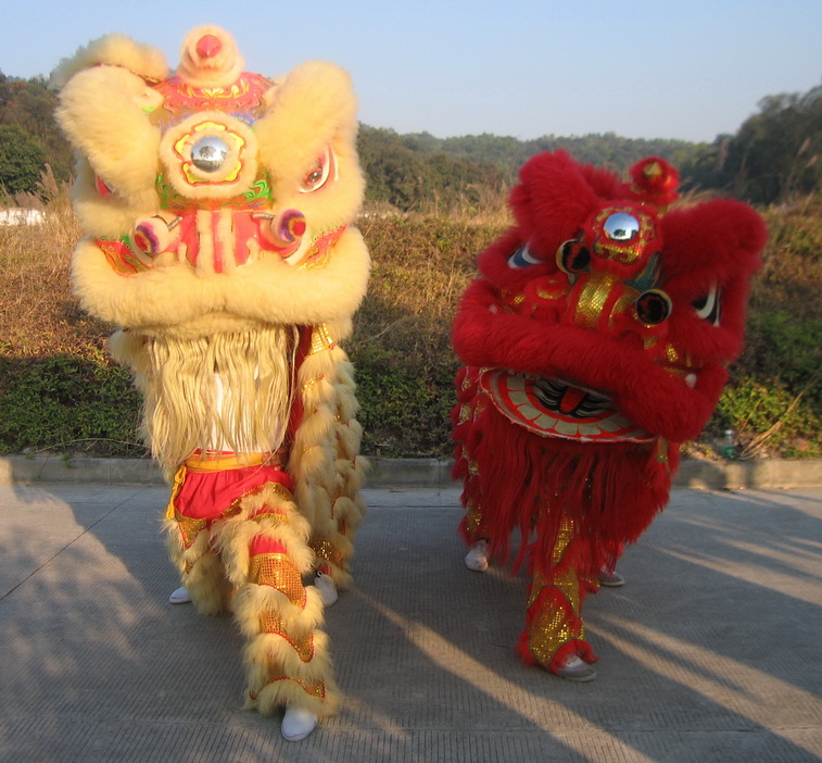 醒狮队正在训练