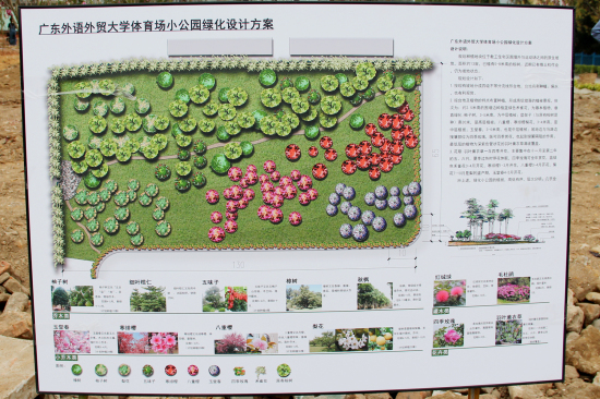 北校体育场小公园绿化设计方案示意图 北校体育场小公园绿化设计方案示意图